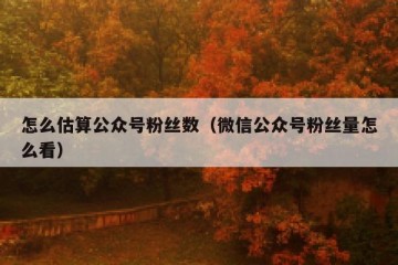 怎么估算公众号粉丝数（微信公众号粉丝量怎么看）