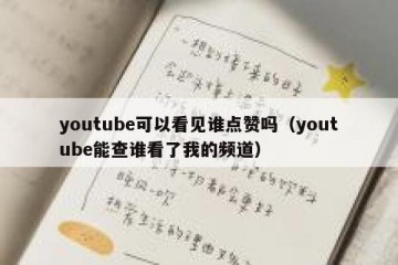 youtube可以看见谁点赞吗（youtube能查谁看了我的频道）