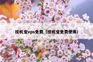 挂机宝vps免费（挂机宝免费使用）