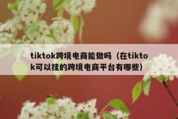 tiktok跨境电商能做吗（在tiktok可以挂的跨境电商平台有哪些）