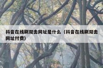 抖音在线刷双击网址是什么（抖音在线刷双击网址付费）