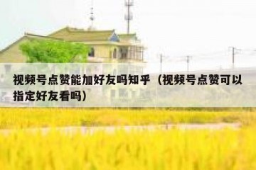 视频号点赞能加好友吗知乎（视频号点赞可以指定好友看吗）