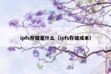 ipfs存储是什么（ipfs存储成本）
