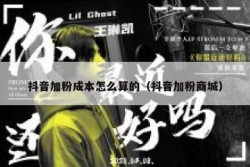 抖音加粉成本怎么算的（抖音加粉商城）