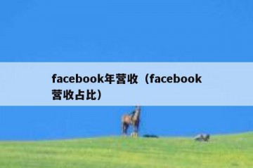 facebook年营收（facebook营收占比）