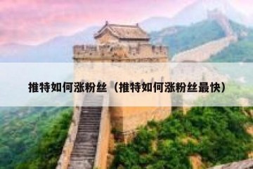 推特如何涨粉丝（推特如何涨粉丝最快）