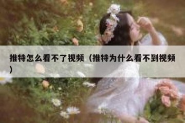 推特怎么看不了视频（推特为什么看不到视频）