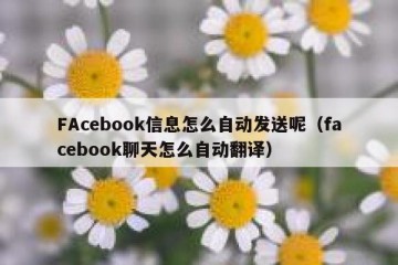 FAcebook信息怎么自动发送呢（facebook聊天怎么自动翻译）