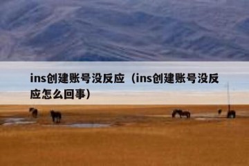 ins创建账号没反应（ins创建账号没反应怎么回事）
