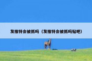发推特会被抓吗（发推特会被抓吗贴吧）