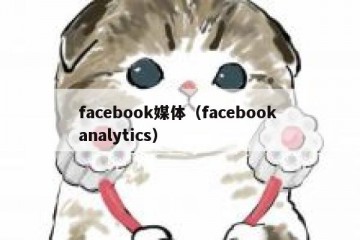 facebook媒体（facebook analytics）
