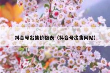抖音号出售价格表（抖音号出售网站）