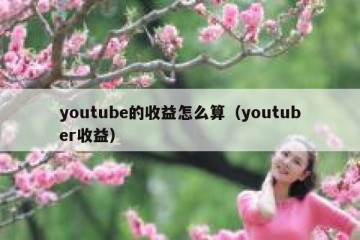 youtube的收益怎么算（youtuber收益）