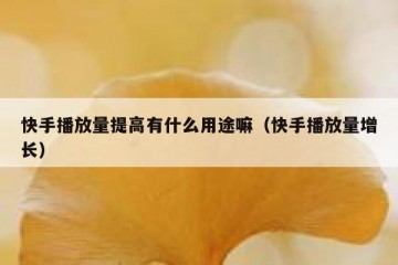 快手播放量提高有什么用途嘛（快手播放量增长）