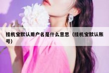 挂机宝默认用户名是什么意思（挂机宝默认账号）
