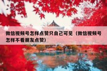 微信视频号怎样点赞只自己可见（微信视频号怎样不看朋友点赞）