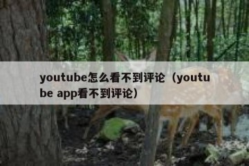 youtube怎么看不到评论（youtube app看不到评论）