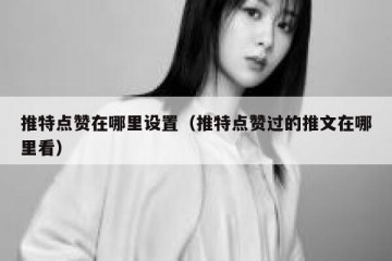 推特点赞在哪里设置（推特点赞过的推文在哪里看）