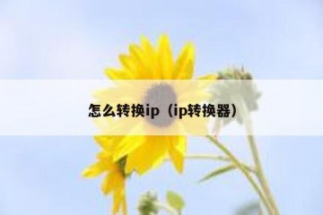 怎么转换ip（ip转换器）