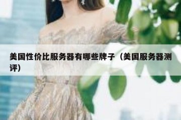美国性价比服务器有哪些牌子（美国服务器测评）