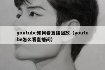 youtube如何看直播回放（youtube怎么看直播间）