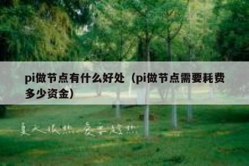 pi做节点有什么好处（pi做节点需要耗费多少资金）