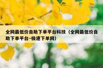 全网最低价自助下单平台科技（全网最低价自助下单平台~极速下单网）