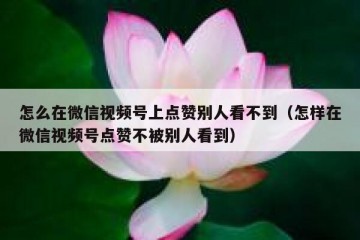 怎么在微信视频号上点赞别人看不到（怎样在微信视频号点赞不被别人看到）