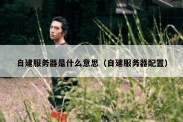自建服务器是什么意思（自建服务器配置）