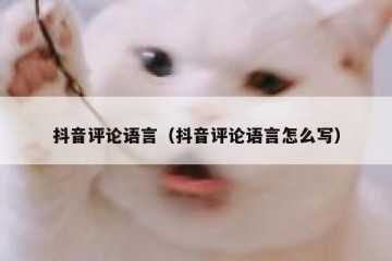 抖音评论语言（抖音评论语言怎么写）