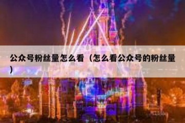 公众号粉丝量怎么看（怎么看公众号的粉丝量）