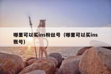 哪里可以买ins粉丝号（哪里可以买ins账号）