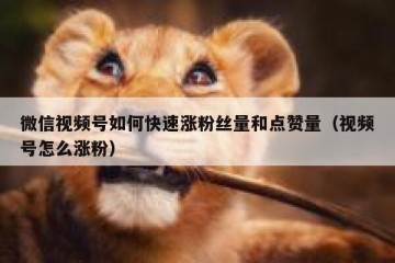 微信视频号如何快速涨粉丝量和点赞量（视频号怎么涨粉）