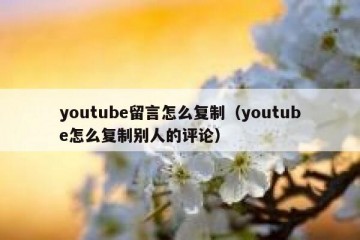 youtube留言怎么复制（youtube怎么复制别人的评论）