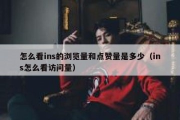怎么看ins的浏览量和点赞量是多少（ins怎么看访问量）
