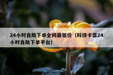 24小时自助下单全网最低价（科技卡盟24小时自助下单平台）