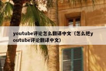 youtube评论怎么翻译中文（怎么把youtube评论翻译中文）