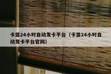 卡盟24小时自动发卡平台（卡盟24小时自动发卡平台官网）