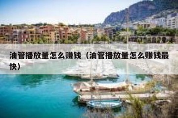 油管播放量怎么赚钱（油管播放量怎么赚钱最快）