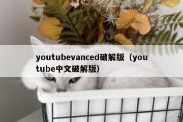 youtubevanced破解版（youtube中文破解版）