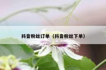 抖音粉丝订单（抖音粉丝下单）