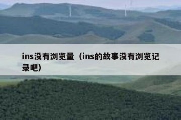 ins没有浏览量（ins的故事没有浏览记录吧）