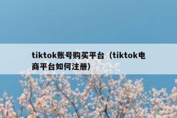 tiktok账号购买平台（tiktok电商平台如何注册）