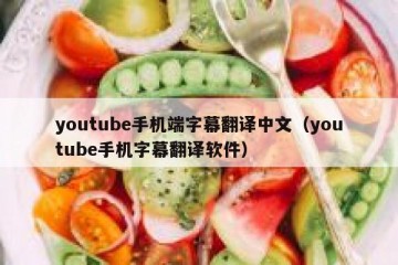 youtube手机端字幕翻译中文（youtube手机字幕翻译软件）