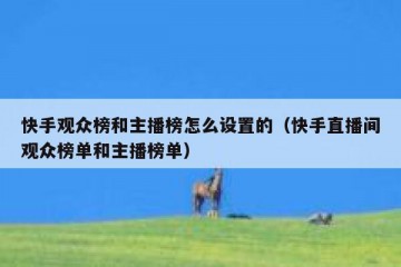 快手观众榜和主播榜怎么设置的（快手直播间观众榜单和主播榜单）