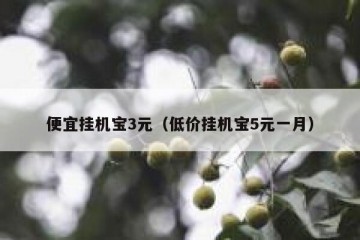 便宜挂机宝3元（低价挂机宝5元一月）