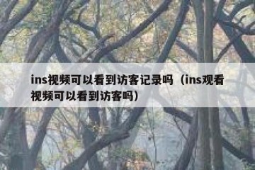 ins视频可以看到访客记录吗（ins观看视频可以看到访客吗）