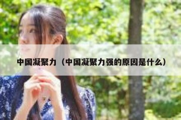 中国凝聚力（中国凝聚力强的原因是什么）