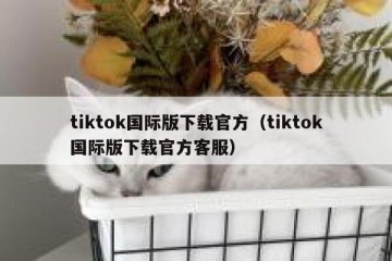 tiktok国际版下载官方（tiktok国际版下载官方客服）