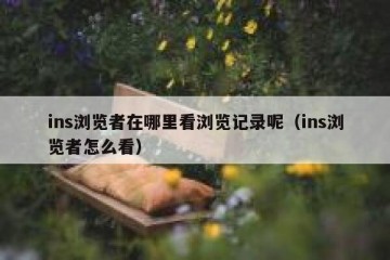 ins浏览者在哪里看浏览记录呢（ins浏览者怎么看）
